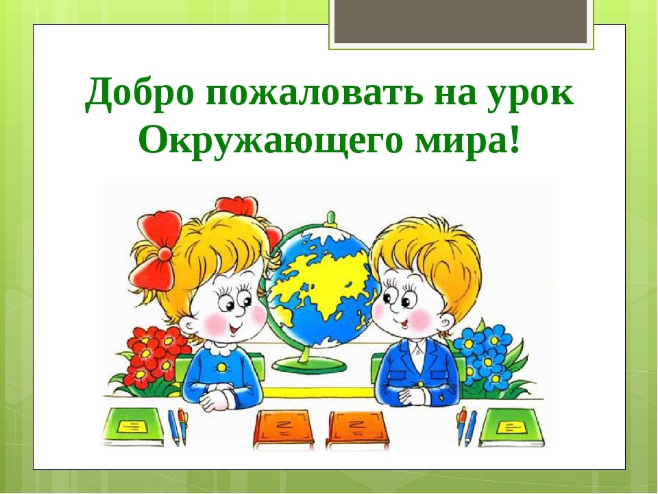 Урок окружающего мира 2 класс страны мира презентация школа россии